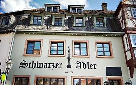 Schwarzer Adler